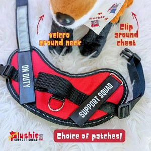 PERSONALISED HARNESS