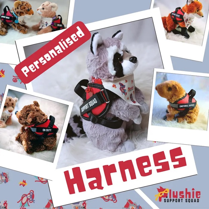 PERSONALISED HARNESS